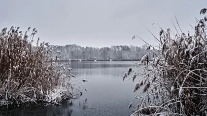 Похолодает до -13 градусов – синоптики о погоде в Казахстане на 14-16 октября