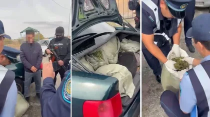 Служебная собака помогла задержать перевозчиков 66 кг марихуаны в Жамбылской области (ВИДЕО)