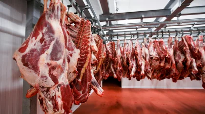 Отказаться от обнуления пошлин на импорт мяса КРС ради защиты фермеров призвал депутат