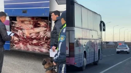 Пассажирский автобус с забитым мясом багажником задержали на трассе в Жетысу (ВИДЕО)
