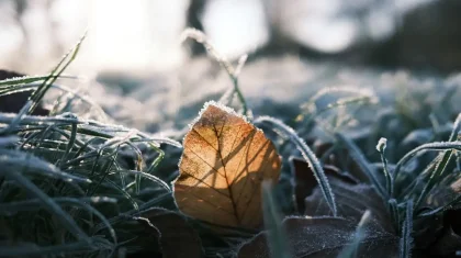 Какая погода ждет казахстанцев 16 октября