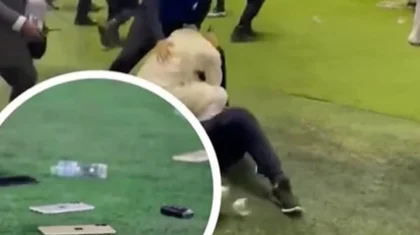 Фанаты закидали поле айфонами и ключами от машин во время матча Катара и ОАЭ (ВИДЕО)