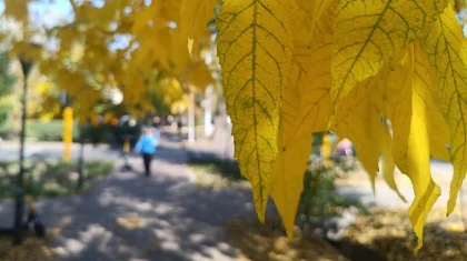 Теплая и безоблачная погода порадует казахстанцев на выходных