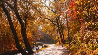 Прогноз погоды в Казахстане на 19 октября