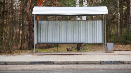 Тело убитой женщины нашли за остановкой на окраине Петропавловска