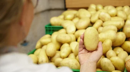 АЗРК: 5,1 млрд тенге потрачено на закуп картофеля в период избытка, а не дефицита