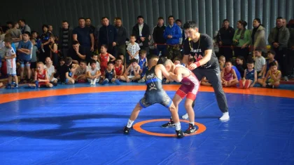 Юные борцы из района Магжана Жумабаева завоевали 14 золотых медалей на турнире «Жас Палуан»