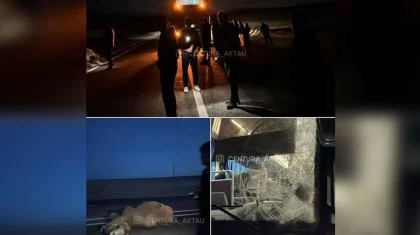 Автобус столкнулся с верблюдом в Мангистау (ВИДЕО)