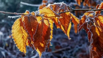 Какая погода ждет казахстанцев 22 октября