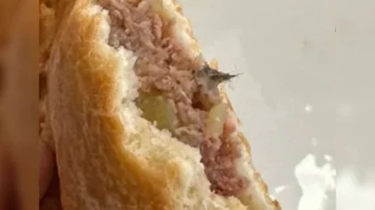 «Шерсть мыши» в выпечке напугала родителей школьников в Семее (ВИДЕО)