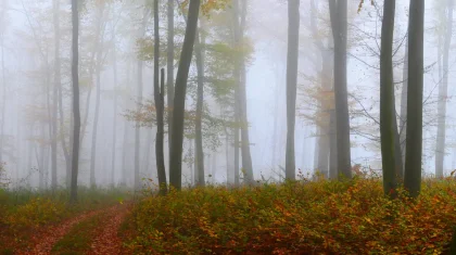 Туман и усиление ветра: штормовое предупреждение объявили в Казахстане на 23 октября