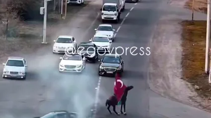 Молодежь превратила проезжую часть в площадку для шоу в Алматинской области (ВИДЕО)