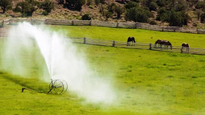 35 субсидий на 24 миллиона тенге выявили прокуроры на востоке Казахстана