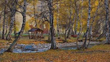 Дожди и туман, на юге сохраняется тепло: прогноз погоды в Казахстане на 25 октября