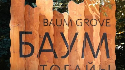 Неизвестные спилили деревья в роще Баума в Алматы, на месте обнаружили бензопилу