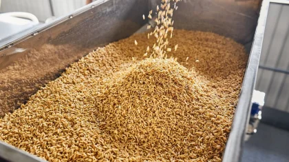 Агрокомплекс стоимостью 250 млн долларов построят на севере Казахстана