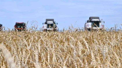 В Казахстане намолочено 26,9 млн тонн зерна – Минсельхоз