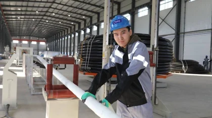 8,5 млрд тенге инвестиций: новые производственные цеха открылись по инициативе «AMANAT» в Мангистау