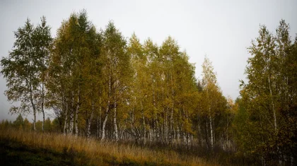 Штормовое предупреждение объявили в 15 регионах Казахстана на 29 октября