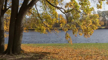 Прогноз погоды по Казахстану на 29 октября представили синоптики