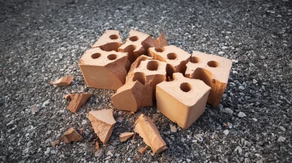 Женщина кинула в соседку кирпич, но избежала наказания на юге Казахстана