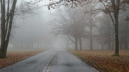 В Казахстане 31 октября дожди и туман, на востоке и в центре заморозки