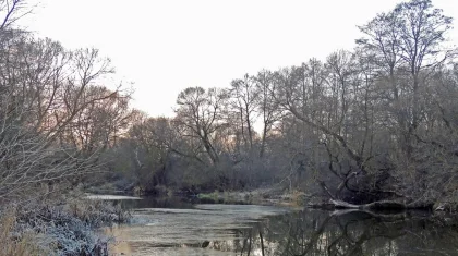Гололед и туман: штормовое предупреждение объявили в Казахстане на 2 ноября