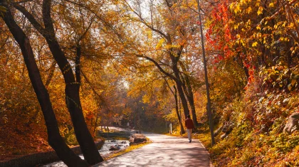 Погода в Казахстане 2 ноября: дожди на севере и западе, сухо на юге и востоке