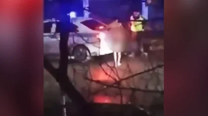 Голый мужчина гулял около школы в Павлодаре (ВИДЕО)