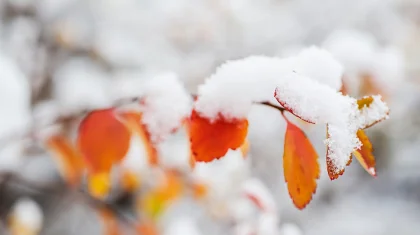 Ожидается снег: прогноз погоды в Казахстане на 4 ноября