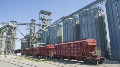 Казахстанское зерно начали экспортировать в Западную Европу