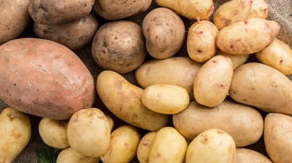 Дефицита картофеля в Казахстане не будет, уверяют в Минсельхозе