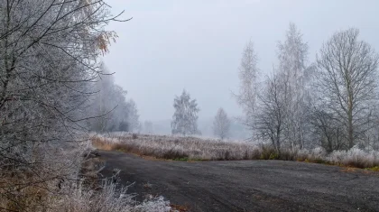 Гололед и туман: в каких регионах Казахстана объявили штормовое предупреждение