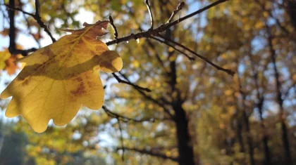 Морозы отступят: воздух в Казахстане прогреется до +15 градусов