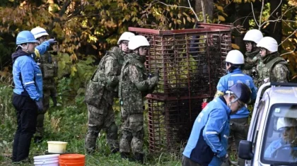 Япония отправила войска на помощь горным жителям из-за нашествия медведей