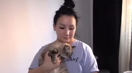 «Продала стиралку ради котов»: девушка из Петропавловска приютила 125 животных (ВИДЕО)