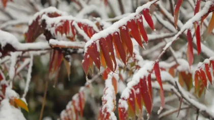 Какая погода ждет казахстанцев 7 ноября