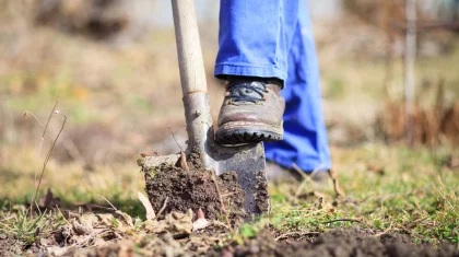 Актюбинец вывез коллегу за город, заставил взять кредит, убил и закопал его