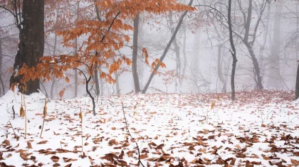 Метели, гололед и туман: штормовое предупреждение объявили в Казахстане