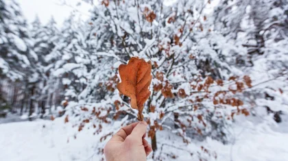 Погода в Казахстане 8 ноября: метели накроют север и центр страны