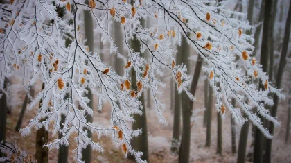 Штормовое предупреждение объявлено в Казахстане на 9 ноября