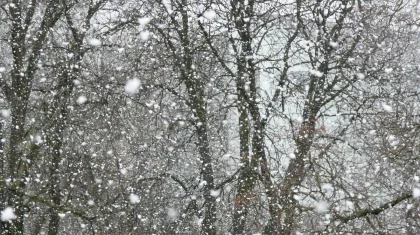 Снег, метели и туман: штормовое предупреждение объявили по всему Казахстану