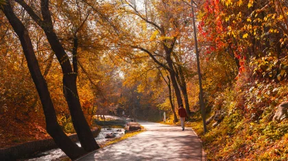 До +18 градусов тепла: синоптики рассказали о погоде в Казахстане на 11-13 ноября