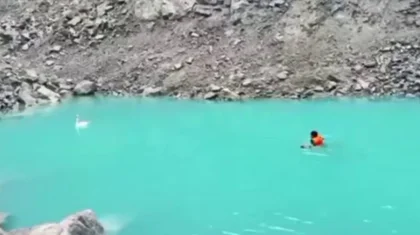 Отбившегося от стаи лебедя спасли сотрудники МЧС в Кокшетау (ВИДЕО)