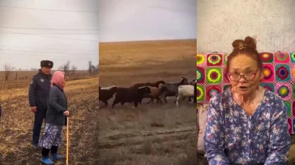 Пожилая актюбинка благословила полицейских, вернуших ей пропавших коз и овец
