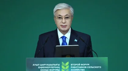 В течение 7 дней предоставят отчет: Токаев дал поручение профильным министерствам