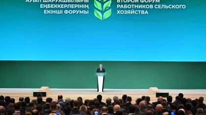 Токаев: Одни утверждают, что на селе нет работы, другие – что не хватает работников