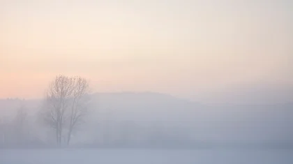 Туман накроет Казахстан 16 ноября: объявлено штормовое предупреждение
