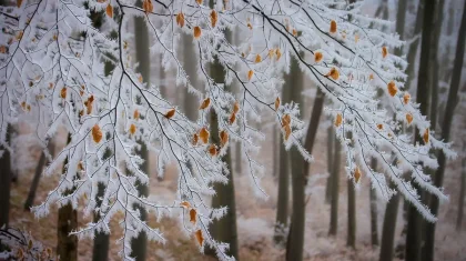 В каких регионах Казахстана объявили штормовое предупреждение