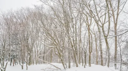 Какая погода ждет казахстанцев 17 ноября